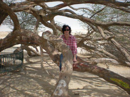 Tree of Life